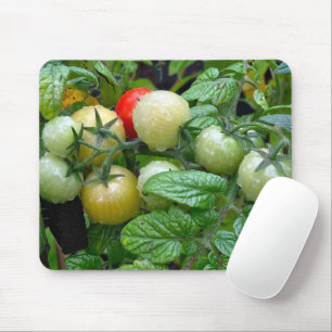 Verschiedene Bühnen von Kirschtomaten Mousepad