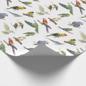 Verschiedene bunte Papageien Geschenkpapier (Ecke)