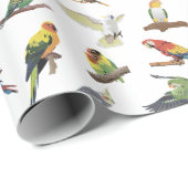 Verschiedene bunte Papageien Geschenkpapier (Rolleneckpunkt)