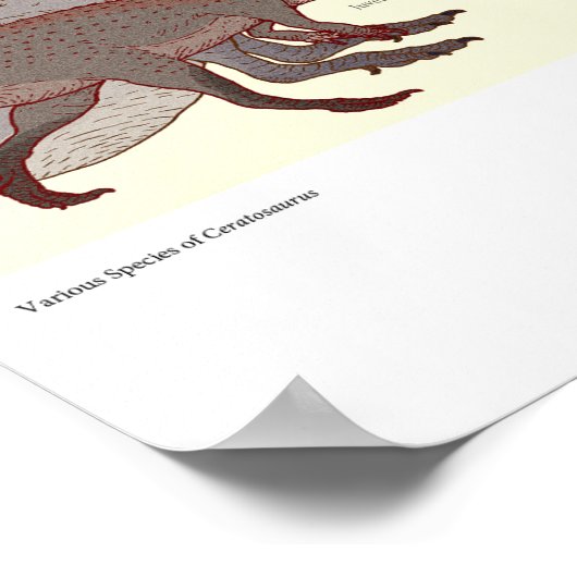 Verschiedene Ceratosaurus-Arten Poster (Ecke)