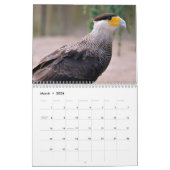 Verschiedene Greifvögel Kalender (Mär 2026)
