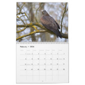 Verschiedene Greifvögel Kalender (Feb 2026)