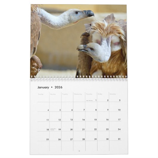 Verschiedene Greifvögel Kalender (Jan 2026)