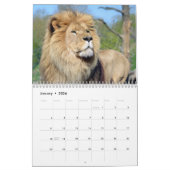Verschiedene große katzenähnliche 12 Monate Kalend Kalender (Jan 2026)
