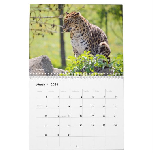 Verschiedene große katzenähnliche 12 Monate Kalend Kalender (Mär 2026)