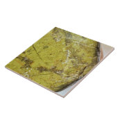 Verschiedene halbwertvolle Edelsteinstruktur Fliese (Seite)