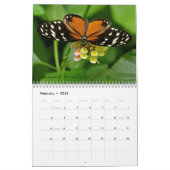 Verschiedene Insekten 12 Monate Kalender (Feb 2026)