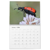 Verschiedene Insekten 12 Monate Kalender (Jan 2026)