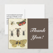 Verschiedene Insekten + "Danke!", Vintag aussehen Postkarte (Vorne/Hinten)