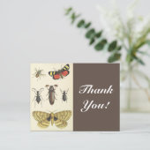 Verschiedene Insekten + "Danke!", Vintag aussehen Postkarte (Stehend Vorderseite)