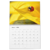 Verschiedene Insekten für den Kalender 2023 (Mär 2026)