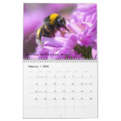 Verschiedene Insekten für den Kalender 2023 (Feb 2026)