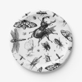 Verschiedene Insekten Pappteller (Vorderseite)