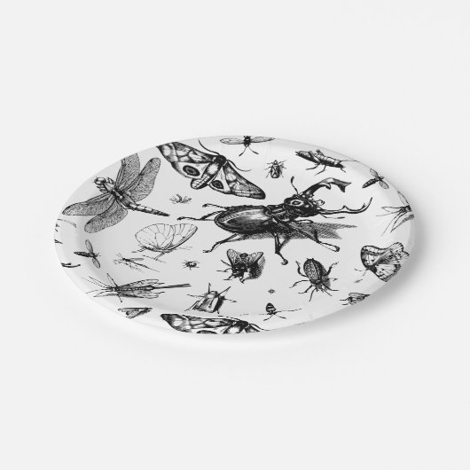 Verschiedene Insekten Pappteller (Schrägansicht)