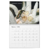 Verschiedene Insekten und Blume 12 Monate Kalender (Feb 2026)
