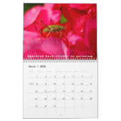 Verschiedene Insekten und Blume 12 Monate Kalender (Mär 2026)