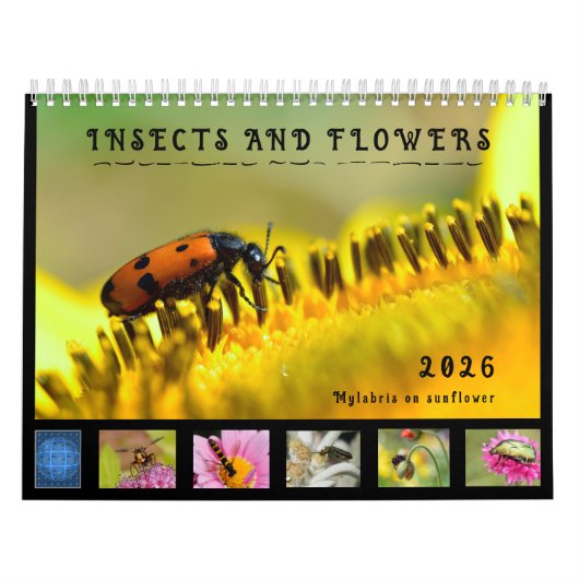 Verschiedene Insekten und Blume 12 Monate Kalender (Titelbild)