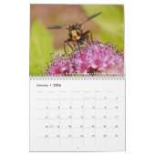 Verschiedene Insekten und Blume 12 Monate Kalender (Jan 2026)