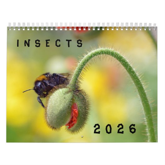 Verschiedene Insektenkalender Kalender (Titelbild)