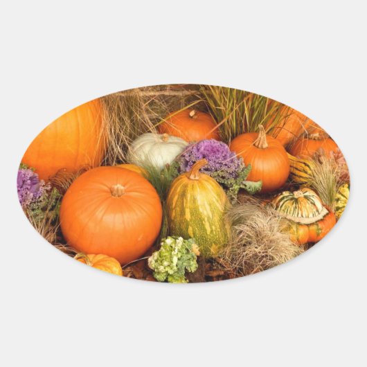 Verschiedene Kürbis Ovaler Aufkleber (Vorderseite)