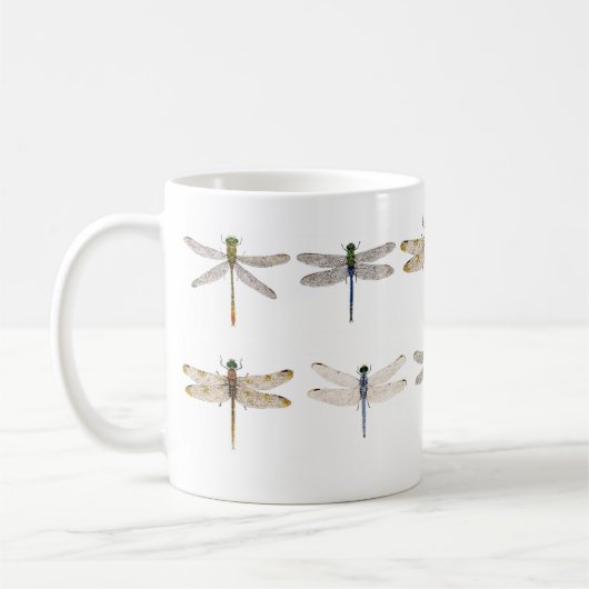 Verschiedene Libellen auf einer Tasse (Links)