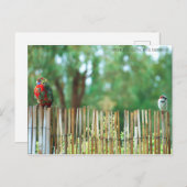 Verschiedene Minds Postkarte (Vorne/Hinten)