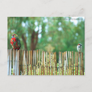 Verschiedene Minds Postkarte