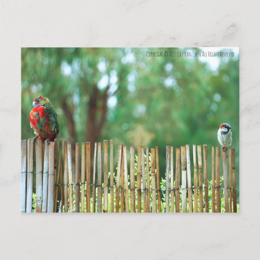 Verschiedene Minds Postkarte (Vorderseite)