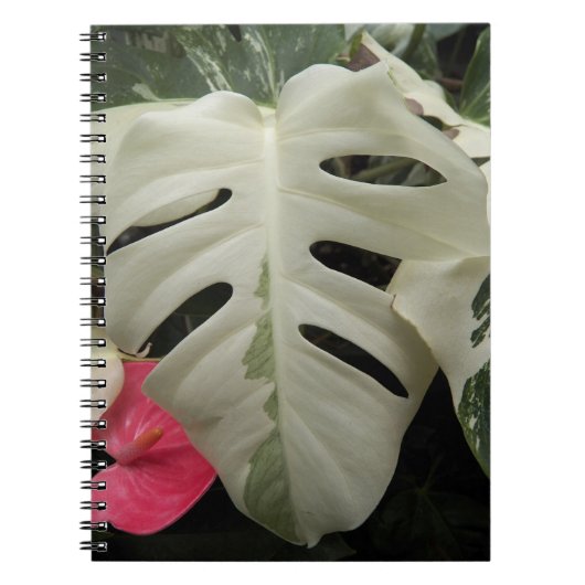 Verschiedene Monstera Leaf Floral Notizblock (Vorderseite)