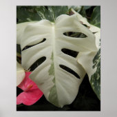 Verschiedene Monstera Leaf Floral Poster (Vorne)