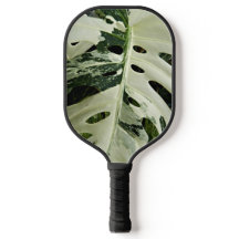 Verschiedene Monstera Pflanze Leaf Floral