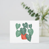 Verschiedene Monstera Postkarte (Stehend Vorderseite)