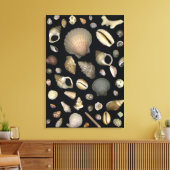 Verschiedene Muscheln Leinwanddruck (Insitu (Wohnzimmer))