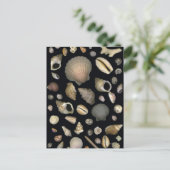 Verschiedene Muscheln Postkarte (Stehend Vorderseite)