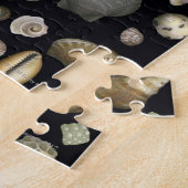 Verschiedene Muscheln Puzzle (Seite)