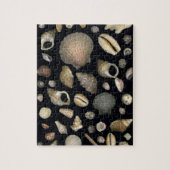 Verschiedene Muscheln Puzzle (Vertikal)