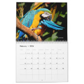 Verschiedene Papageien 12 Monate Kalender (Feb 2026)