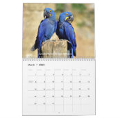 Verschiedene Papageien 12 Monate Kalender (Mär 2026)