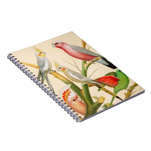 Verschiedene Parketts Notizblock (Rechte Seite)