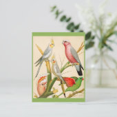 Verschiedene Parketts Postkarte (Stehend Vorderseite)