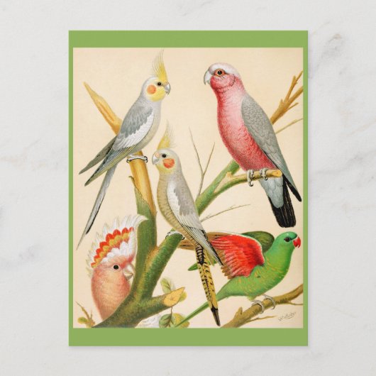 Verschiedene Parketts Postkarte (Vorderseite)