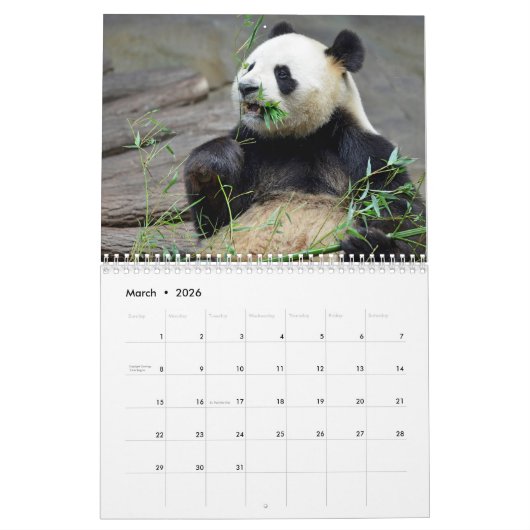 Verschiedene riesige Pandas und rote Pandas Kalend Kalender (Mär 2026)