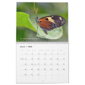 Verschiedene Schmetterlinge 12 Monate Kalender (Mär 2026)