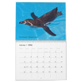 Verschiedene Seevögel 12 Monate Kalender (Jan 2026)