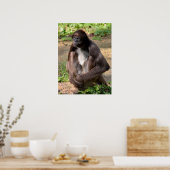 Verschiedene Spinnenaffe, die auf Landurlaub sitzt Poster (Küche)