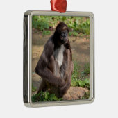 Verschiedene Spinnenaffen auf dem Boden Ornament Aus Metall (Rechts)