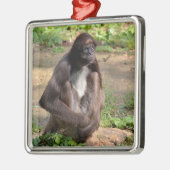 Verschiedene Spinnenaffen auf dem Boden Ornament Aus Metall (Links)