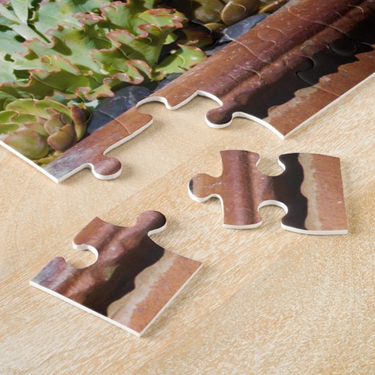 Verschiedene Sukkulente in Großplanter Puzzle (Seite)