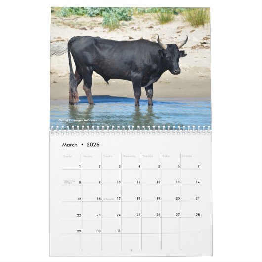 Verschiedene Tiere 12 Monate Kalender (Mär 2026)