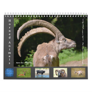 Verschiedene Tiere 12 Monate Kalender